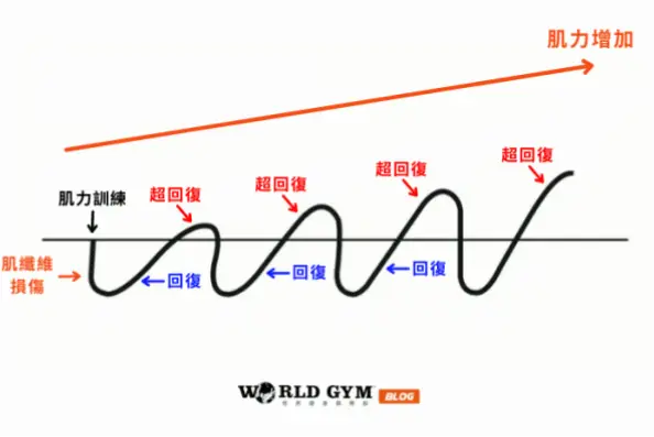 肌肉恢复时间不足，快攻效率为何大幅下滑？